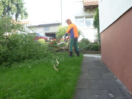 bieckers-motorsaegen.de