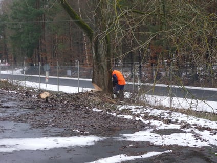 bieckers-motorsaegen.de