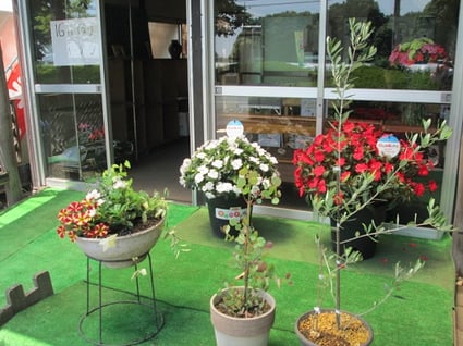 スマイルベジタブル和久井/トウモロコシ/野菜ソムリエ/東京インテリア/東京デザインセンター/家具/栃木県鹿沼市