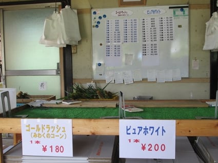 スマイルベジタブル和久井/トウモロコシ/野菜ソムリエ/東京インテリア/東京デザインセンター/家具/栃木県鹿沼市