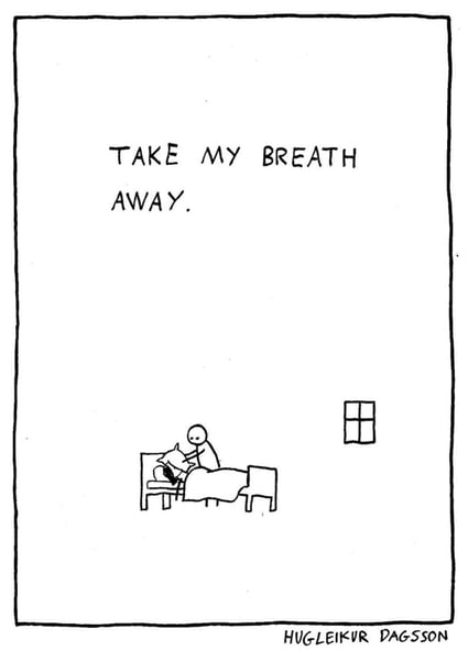 Hugleikur Dagsson Song Comic