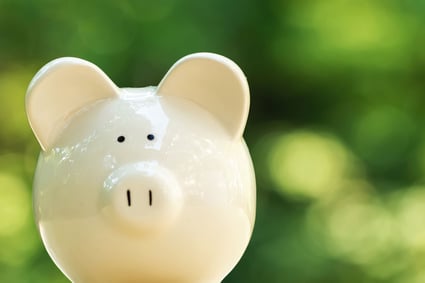 Ein Sparschwein symbolisiert die langfristigen Kosteneinsparungen, die durch regelmäßige, professionelle Baumpflege von Baumpflege ImmerGrün erzielt werden können.