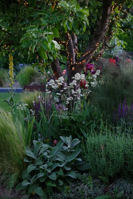 dieartigeGARTEN // April, Frühlingsgarten - Pflaumenblüte