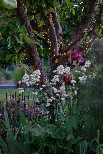 dieartigeGARTEN //Mystic Beet with Caradonna, Bronze-fenchel, Spornblume + iris