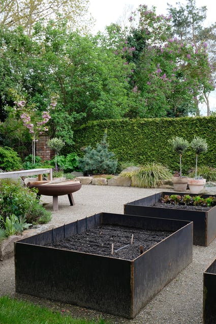dieartigeGARTEN // next to the path to the house - Lavendel, Iris, Gras, Apfelbaum