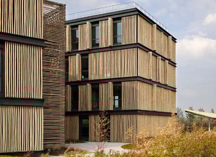 Le bambou, matériau de construction parmi les plus anciens... et parmi les plus écologiques