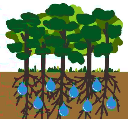 貯水機能の説明図