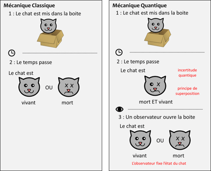Le fameux chat de Schrödinger