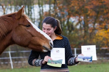 Erlebnisgutscheine Reiten