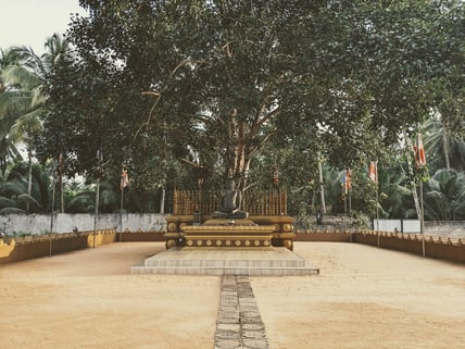 Here you can see the Buddhi-Tree and the lovely space around it, which is used for praying, lessons, meditation.
