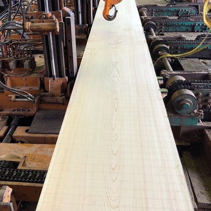 桧 一枚板 鮨カウンター