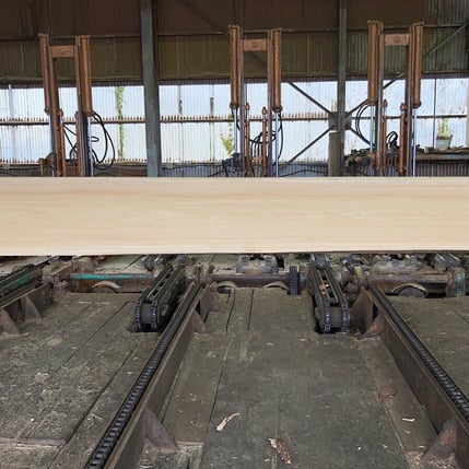 桧 一枚板 鮨カウンター