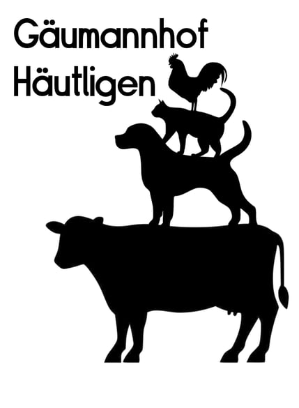 Andrea Gäumann - Gschänkliegge & Massageangebot