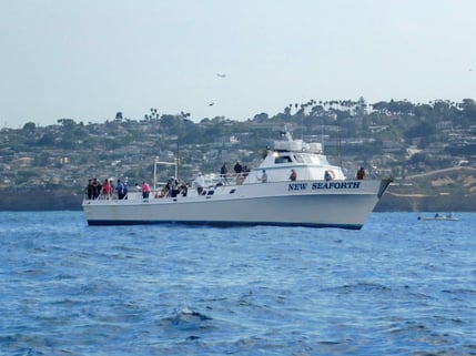 The New Seaforth half day party boat working a bonito bite.