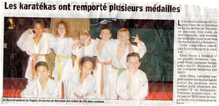 Novembre 2013 - Tournoi Budokan