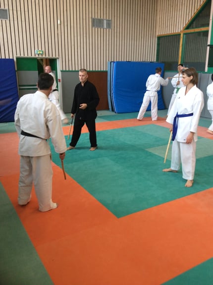 Stage Multi-Style à Cognin 10-2014