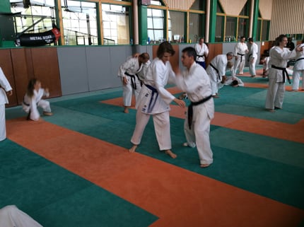 Stage Multi-Style à Cognin 10-2014