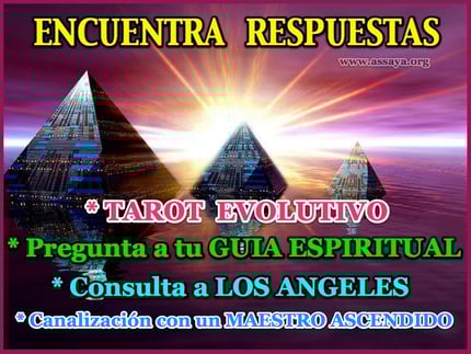 Consulta con Assaya, por Videoconferencia.