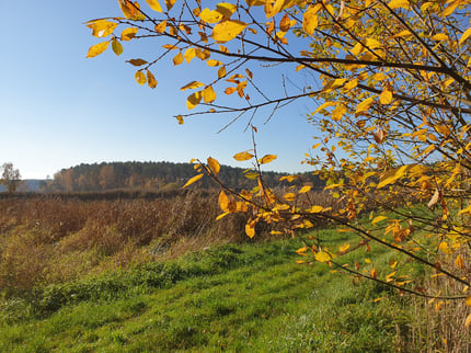 Neuweiher im Herbst