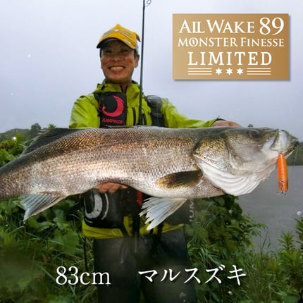 alt="オールウェイク89モンスターフィネスリミテッドは河川の複雑な流れを的確に捉え、ミノーやシンペンの繊細な操作でスレたシーバスを引き出す"