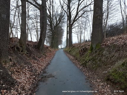Dieser Hohlweg bei Neustadt zeugt von einem regem Fahrverkehr