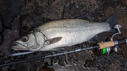 ALLWAKE105MULTI Plus+ - JUMPRIZE 公式サイト