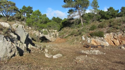 Carrière de Gris, après le débroussaillage, le 3 janvier 2015
