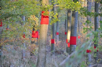 „bleeding trees“ Frühlingsbild 