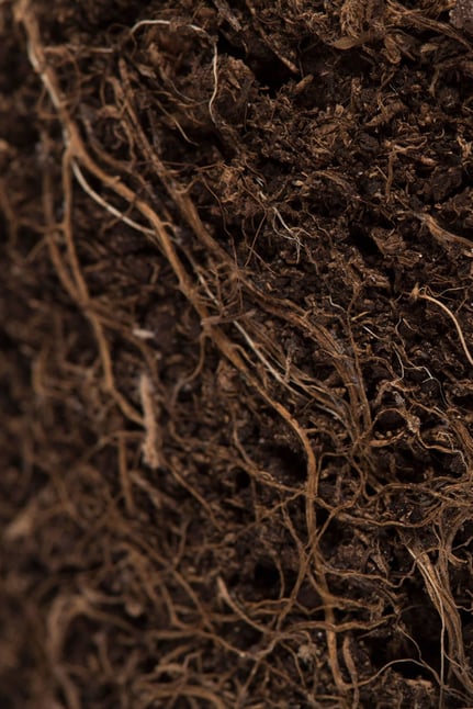 Bodenanalysen Wir holen mehr aus Ihrem Boden