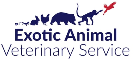 Exotic Animal Veterinarian