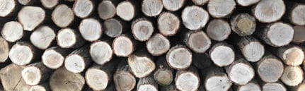 丸太と相談するということ　andwood アンドウッド フローリング