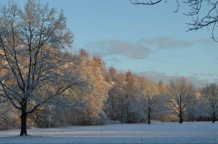 Winterlandschaft mit Schnee und blauem Himmel