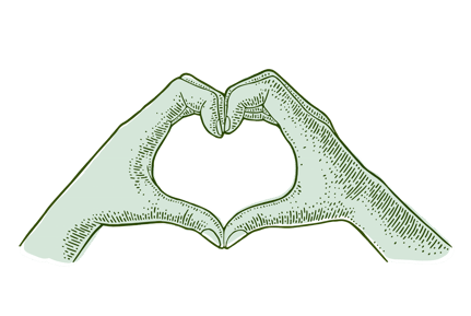 Das bäumige Projekt - Presse Echo