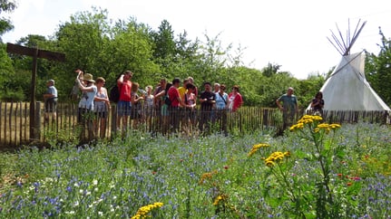 Schmetterlinge im Naturerlebnisgarten des LBV