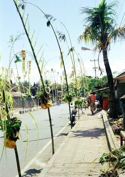 日本人に大人気のバリ島。ヒンドゥーの祭り（ガルンガン）の飾りつけ。七夕のようですね。