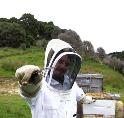 Adrien Besson de Puri New Zealand en combinaison d'apiculture qui analyse le rucher d'un de nos apiculteurs récoltant le Miel de Manuka de Nouvelle-Zélande