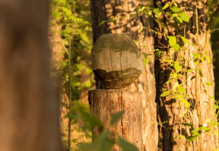 Krisenintervention für Deine Paarbeziehung