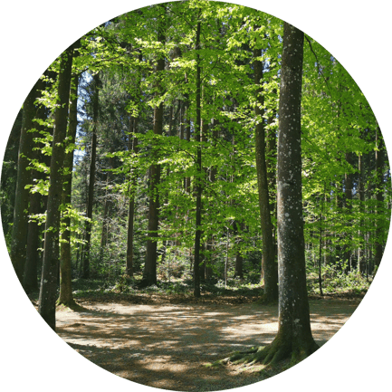 Waldraeume_by_Karibu-Living, Kurse-Angebote