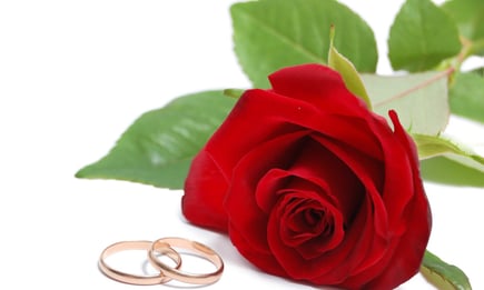 Stephanie Schmutz - Fotografin