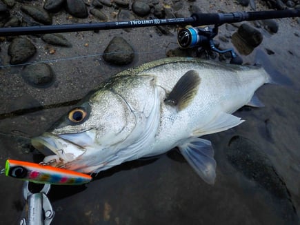 ツーリミット103マルチでごん太のランカーシーバス