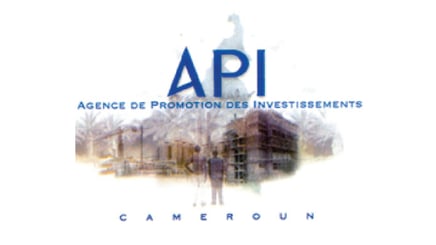 Ancien Logo API 2010-2022