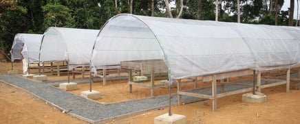 Centre d'excellence pour le traitement post-récolte de cacao