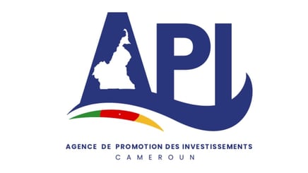 Nouveau logo API - Depuis 2022