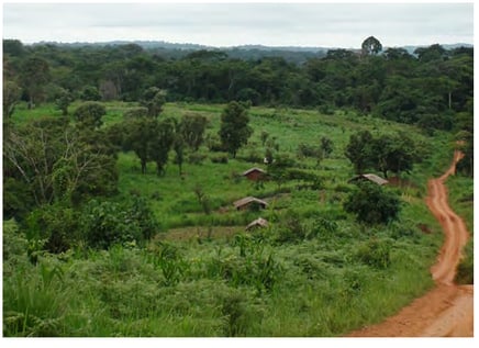 Paysage de la Plaine-Tikar