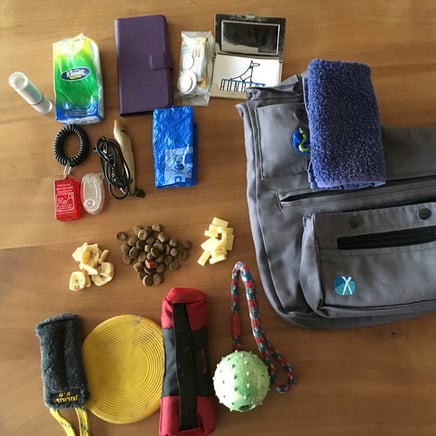 Foto: Esther Hufschmid