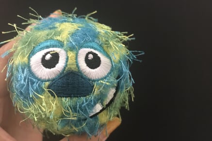 DOG SALON SEALY　ドッグサロンシーリー　表参道　南青山　外苑前　神宮前　トリミングサロン　射手今日子　イデキョウコ　トイプードル