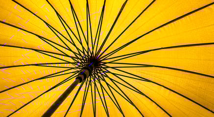 Allergien ganzheitlich behandeln