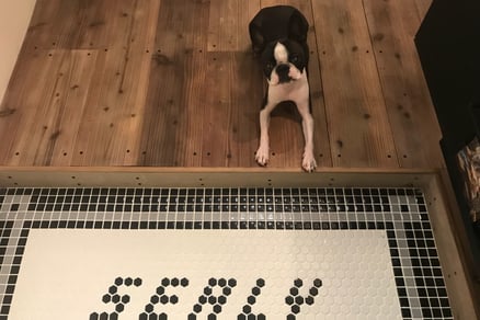 DOG SALON SEALY　ドッグサロンシーリー　表参道　南青山　外苑前　神宮前　トリミングサロン　射手今日子　イデキョウコ　トイプードル