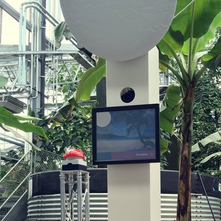 Foto-Installation Tropenhaus