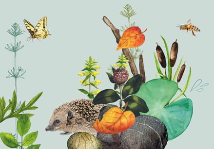 lehrmittel-lebensräume-naturforscher-lehrmittel